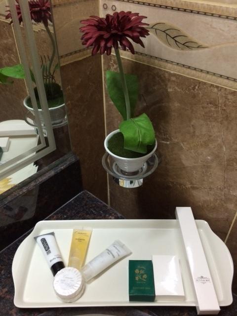 Doha Dynasty Hotel Pokoj fotografie